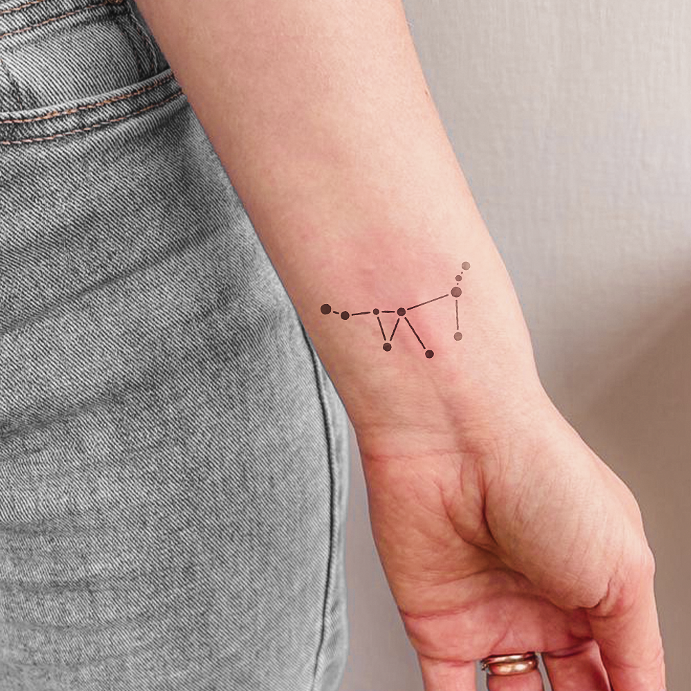 Tatuagem Constelação de Capricórnio